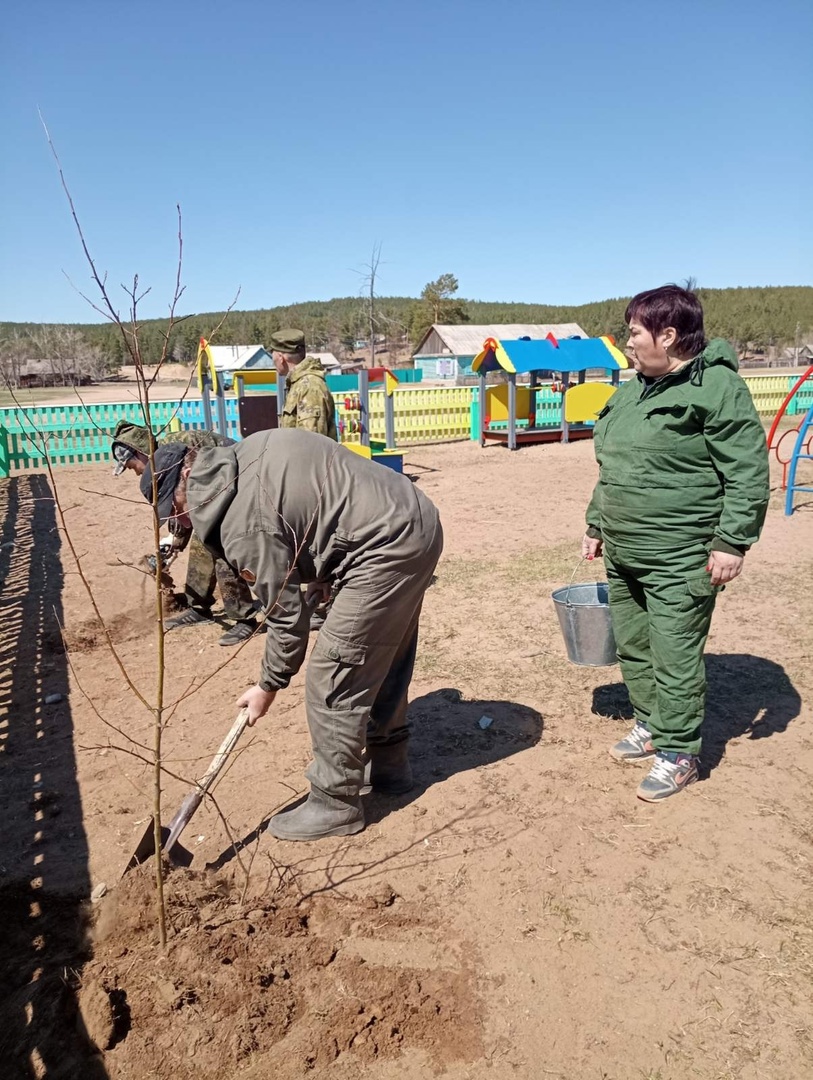 Посадка саженцев в поселке Хуртэй