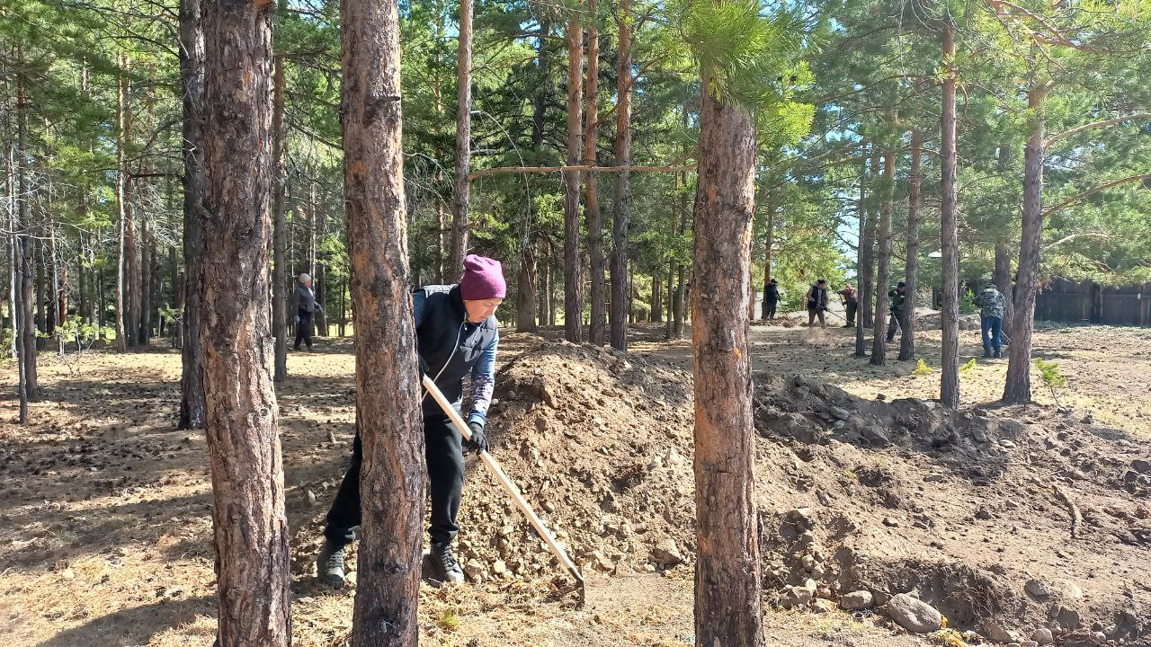 ТОС “Низовское” 16 мая – выезд в с.Калёново на чистку лесополосы, которая находится рядом с жилыми домами (противопожарность)