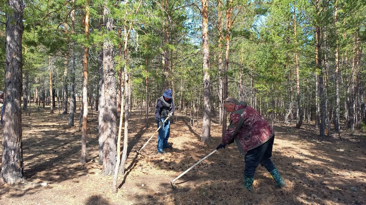 ТОС “Дружба” 16 мая – выезд в с.Калёново на чистку лесополосы, которая находится рядом с жилыми домами (противопожарность)