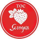 Установка активистами ТОС “Ягодка”- качели для жителей дома