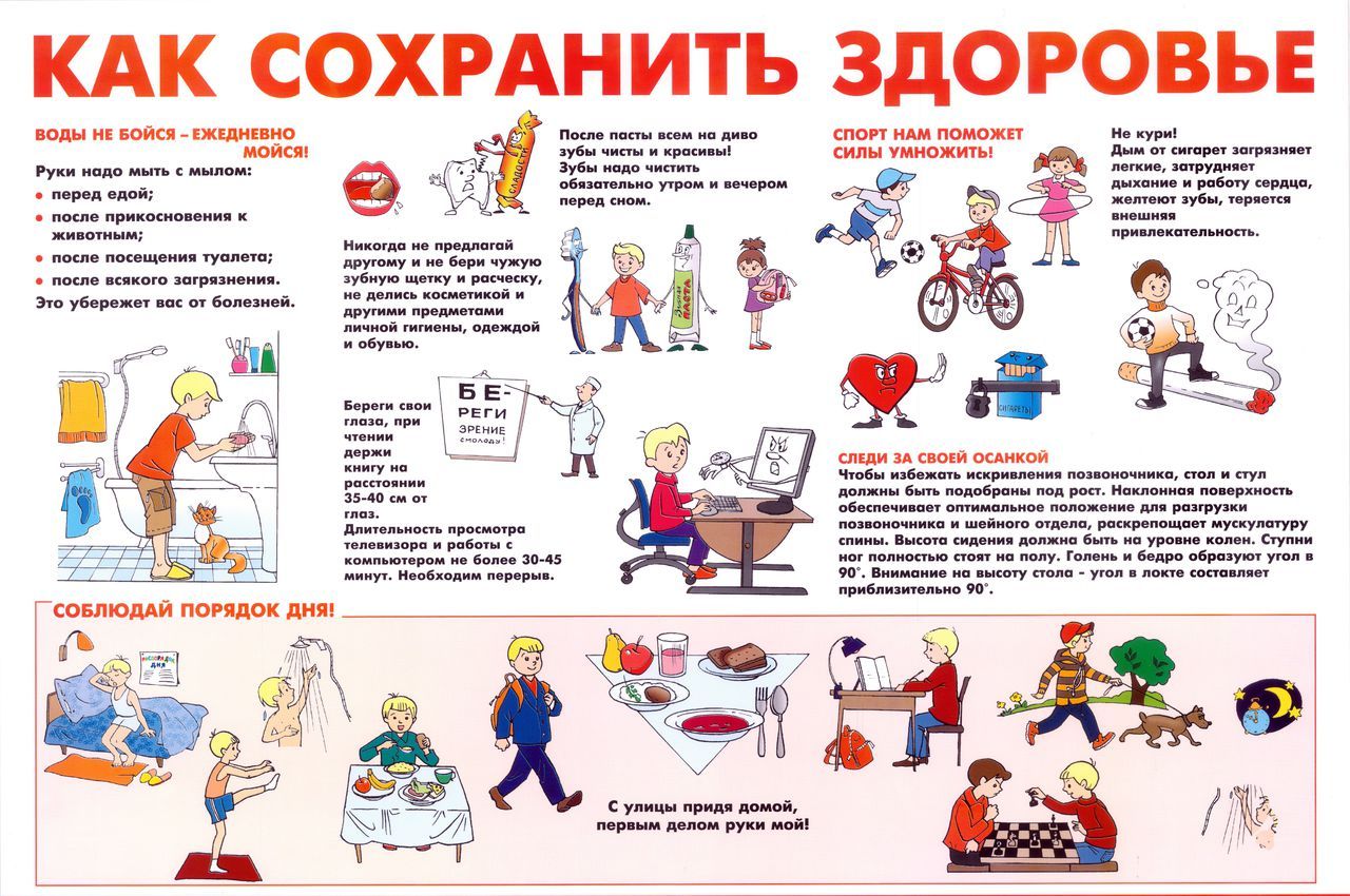 «Здоровье — это богатство, которое мы создаем сами!»