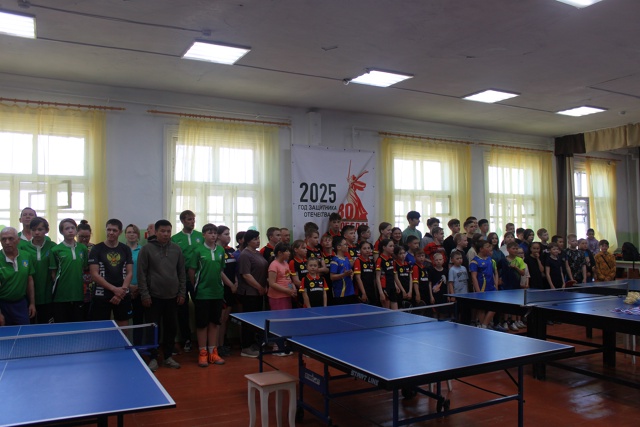 ТОС “Культурное наследие” МО ГП “Бабушкинское” Организация XIII районного  турнира по настольному теннису, посвященного памяти Героя Советского Союза, нашего земляка, летчика Бориса Степановича Быстрых