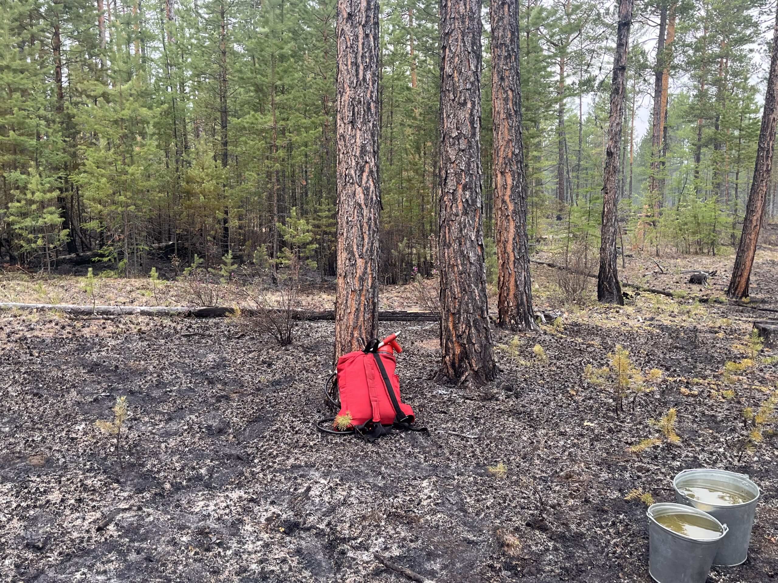 ТОС “Наследие” летом 2025 г. приобрел ранцевые лесные огнетушители