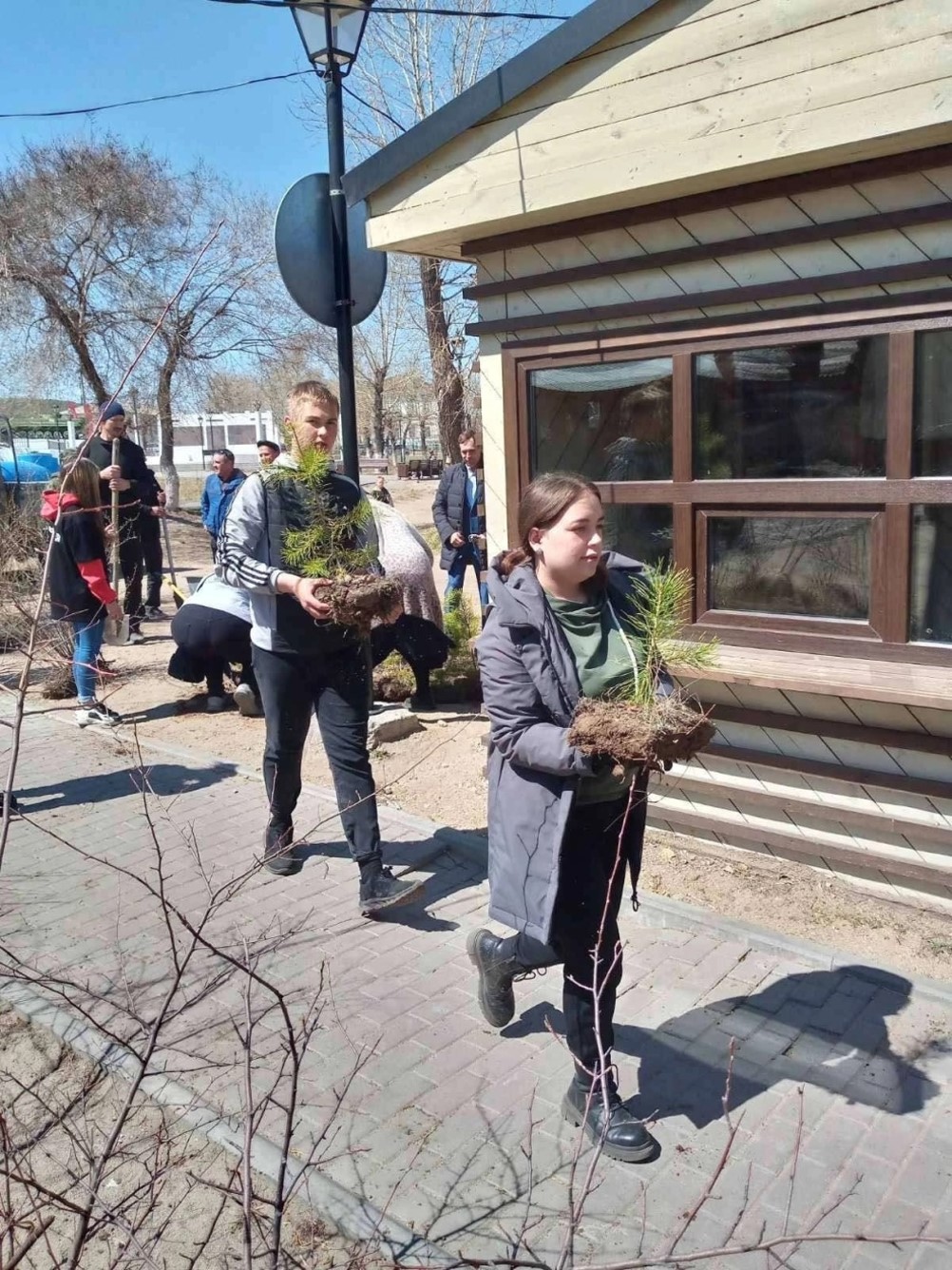 Всероссийский день посадки деревьев