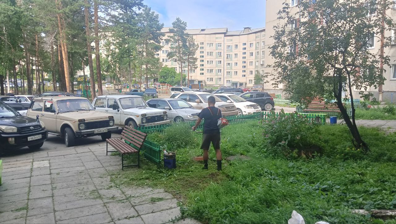 БЛАГОУСТРОЙСТВО ДВОРОВОЙ ТЕРРИТОРИИ