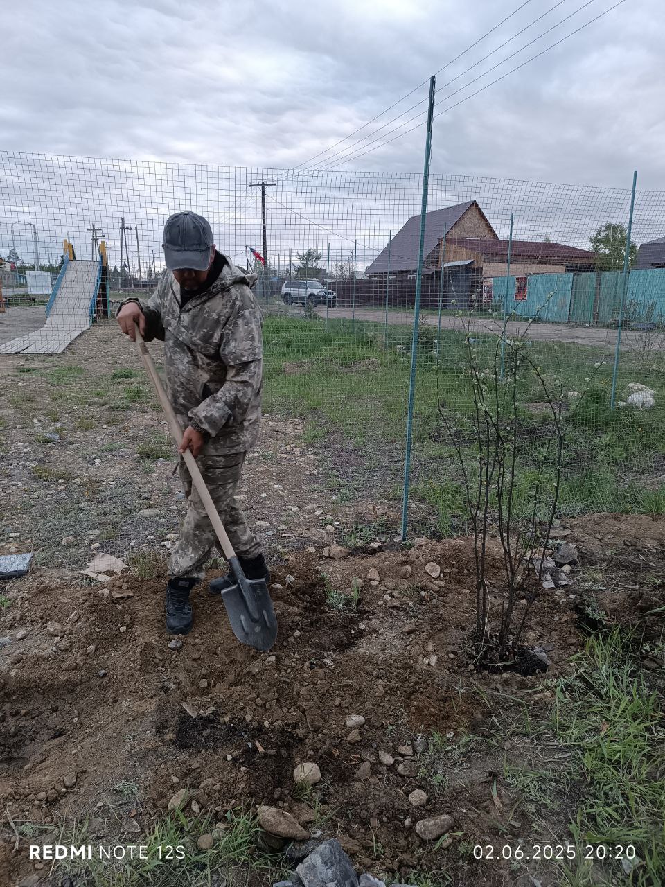 Озеленение