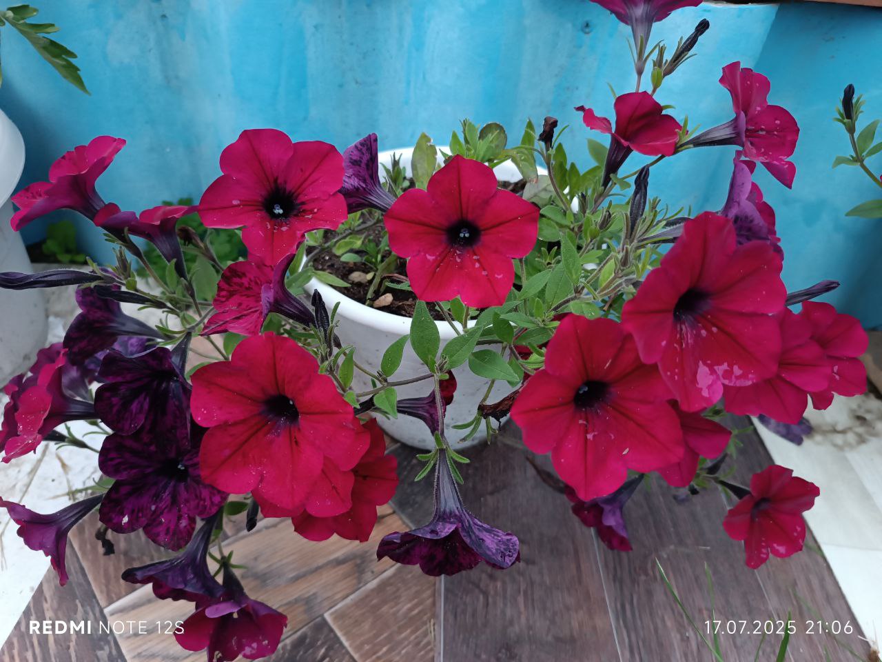 Прощай лето