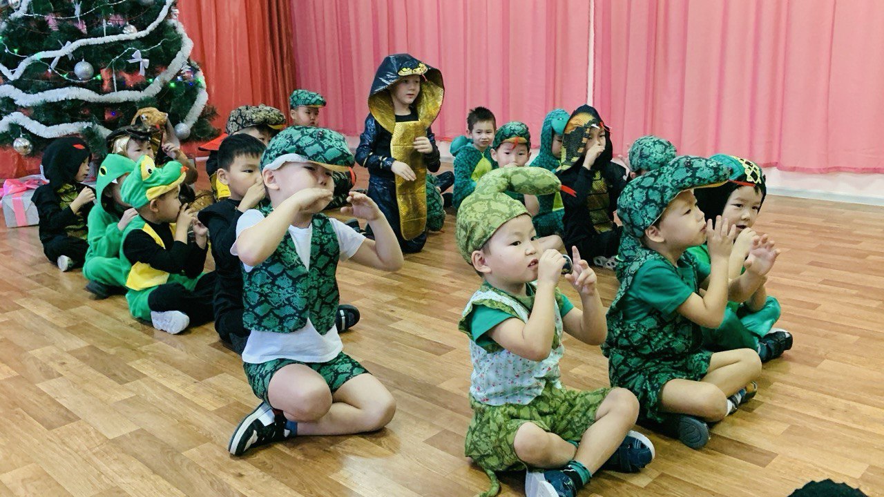 Новогоднее представление