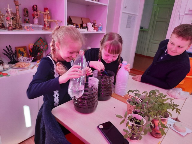 ТОС “Культурное наследие” МО “Бабушкинское” Кабанский район,  Реализация проекта «Огород на подоконнике», с января по июнь