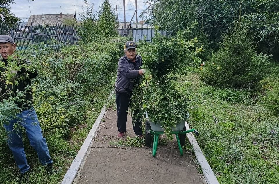 Осенняя подрезка кустарников