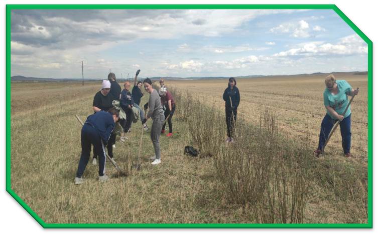 ТОС “Кретив”. От чистого двора – к чистой планете