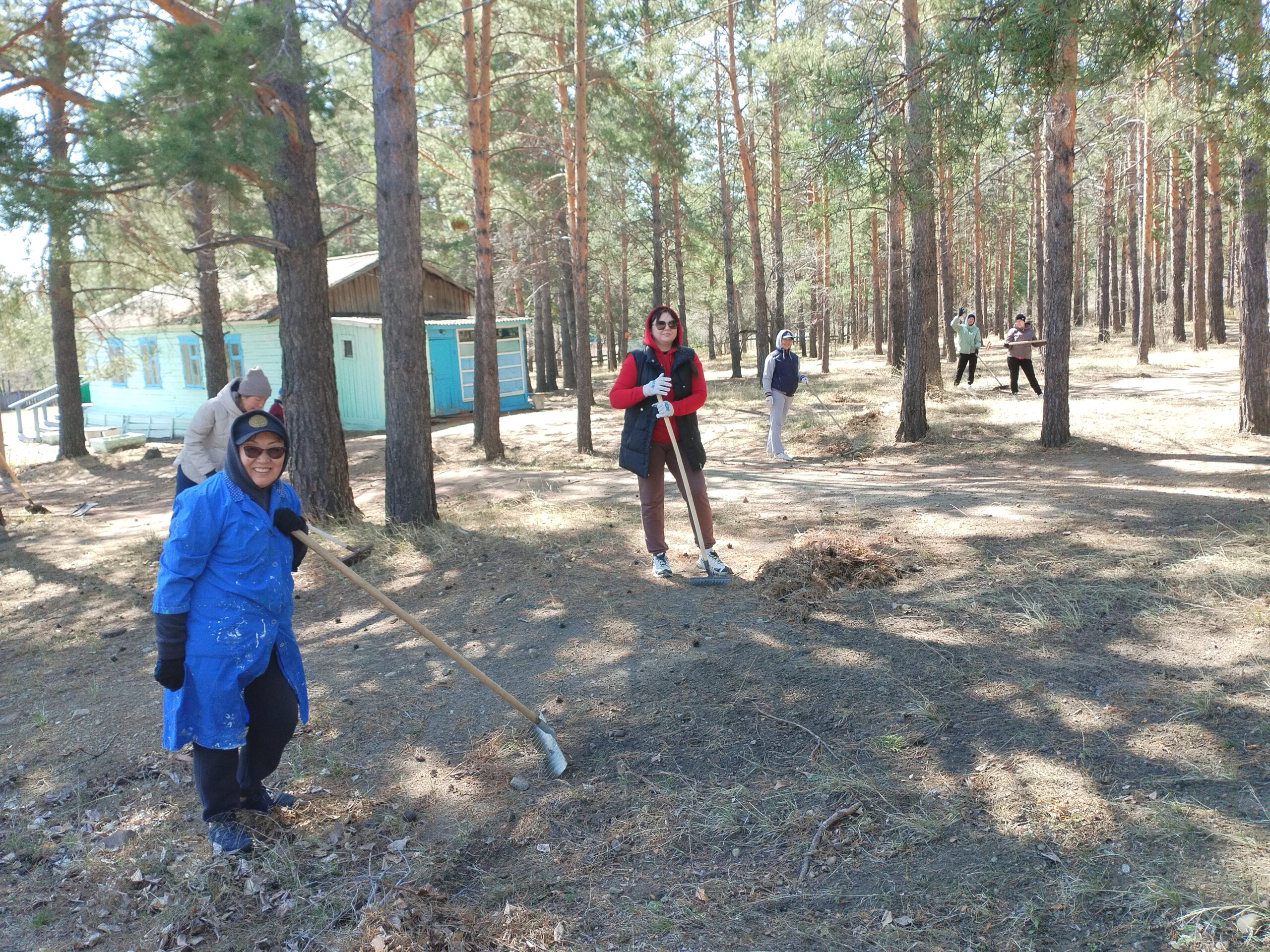 Трудотерапия