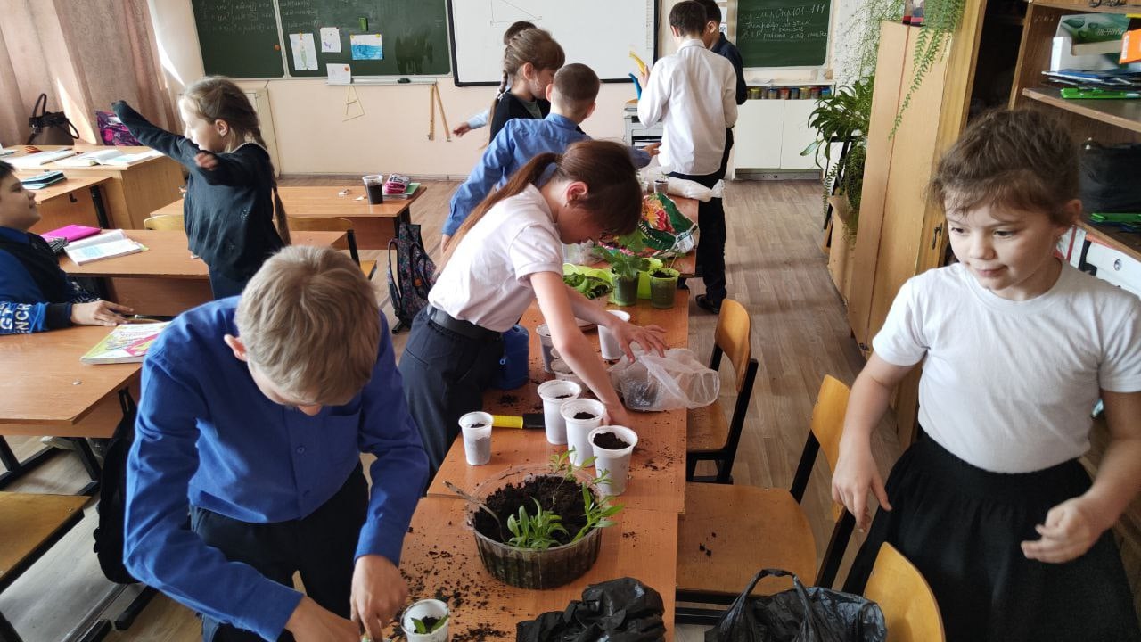 Всемирный день Земли: акция «Клумба  для школы”