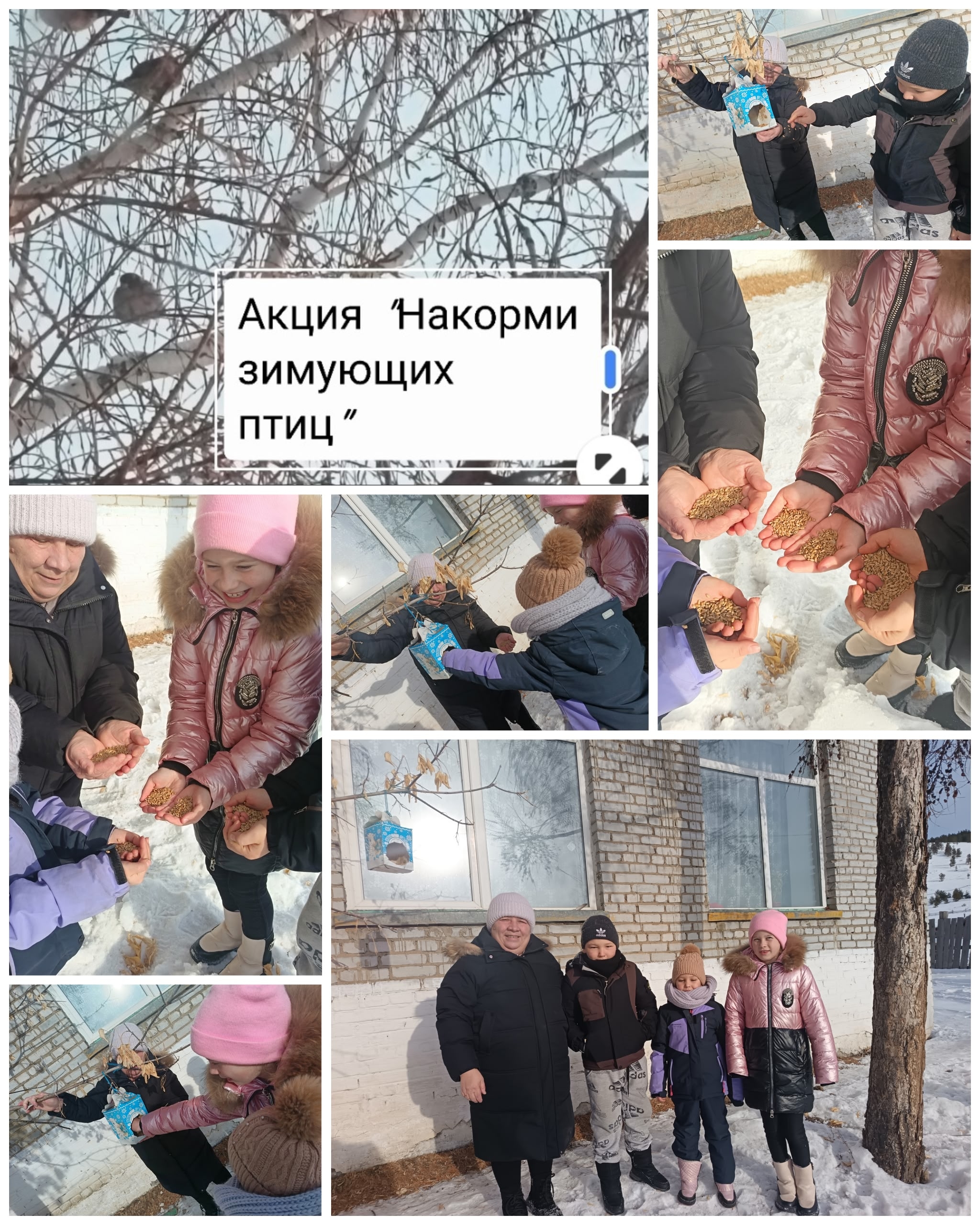 ТОС “Добрый” Акция “Покорми зимующих птиц”